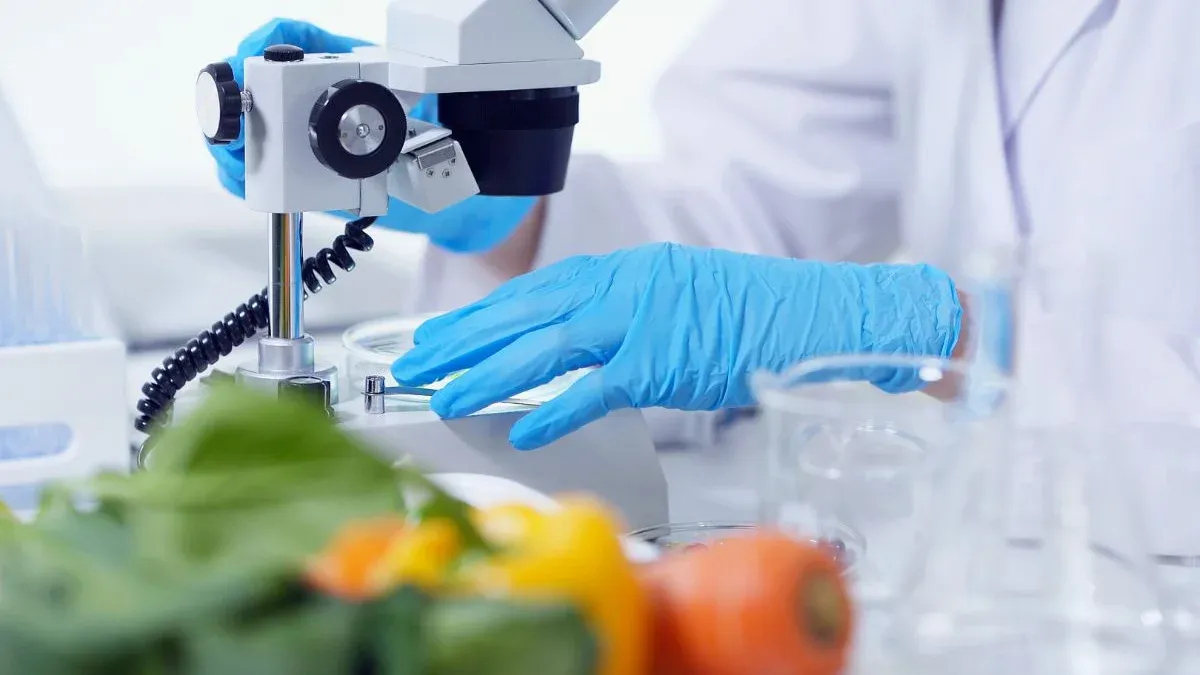 The Science Behind Nutrition for Athletes: What to Eat for Strength and Stamina?