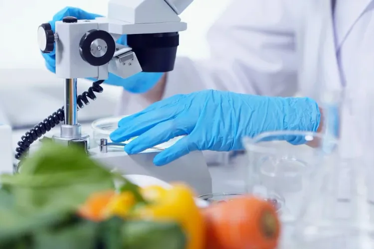 The Science Behind Nutrition for Athletes: What to Eat for Strength and Stamina?