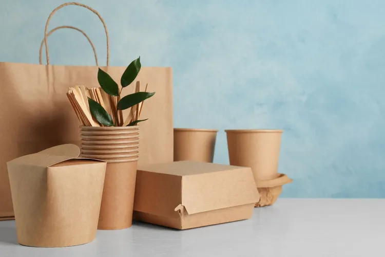 From Plastic to Plant‑Based: How Eco‑Friendly Materials Are Changing Packaging Forever