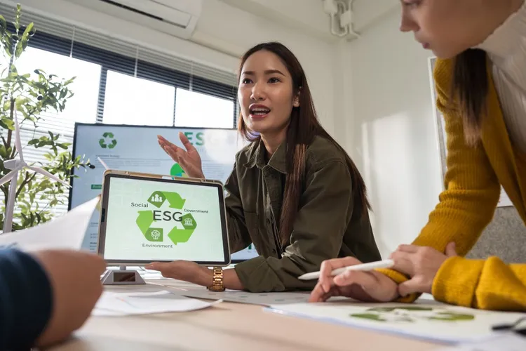 Beyond Profit: Why Sustainability Has Become a Strategic Imperative for Visionary CEOs