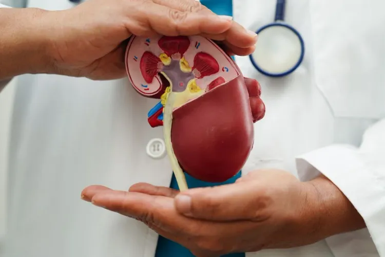 The Role of Immunotherapy in Chronic Disease Management